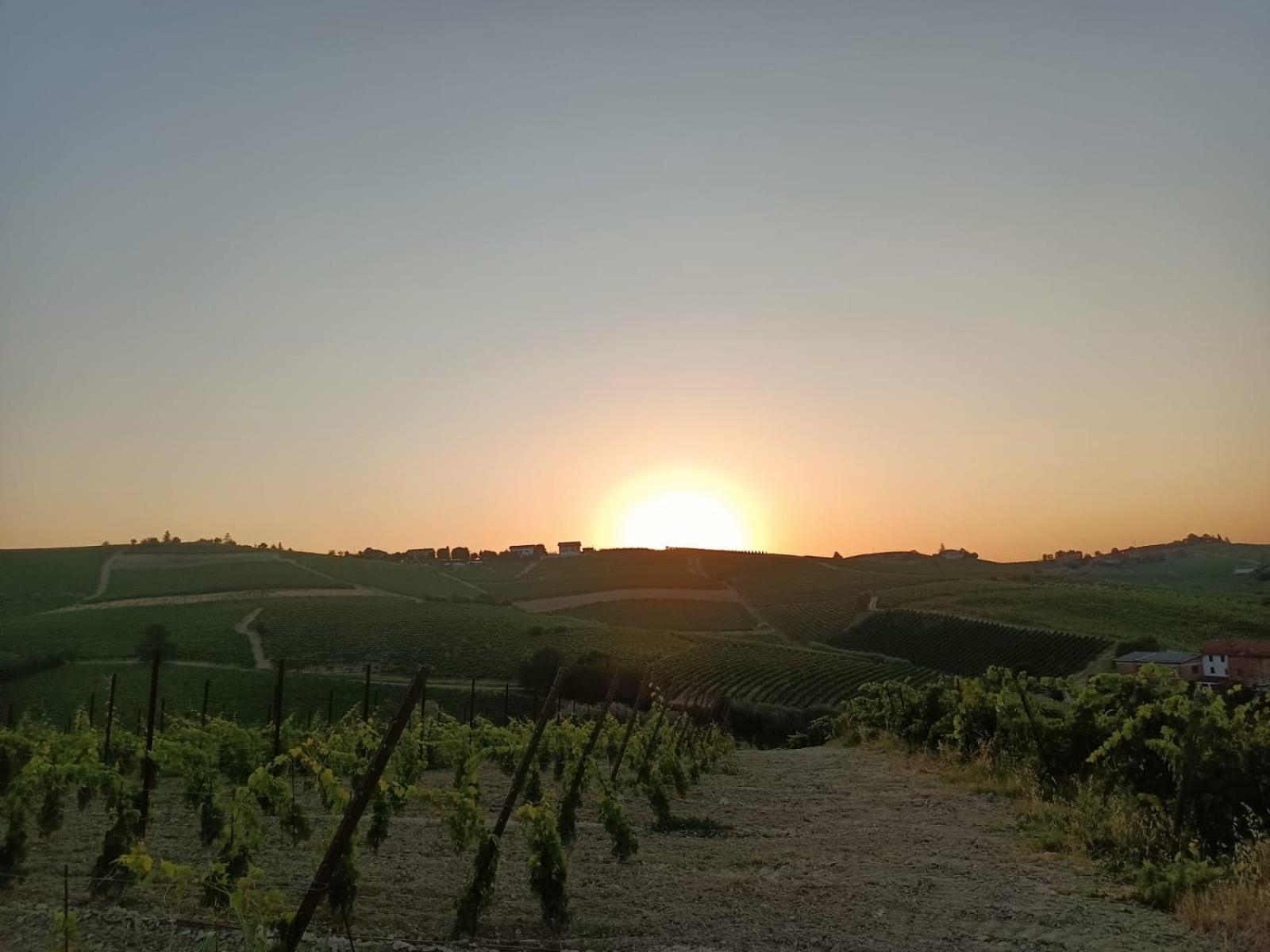 1929 Wine Food Relax Agriturismo Acqui Terme Bagian luar foto